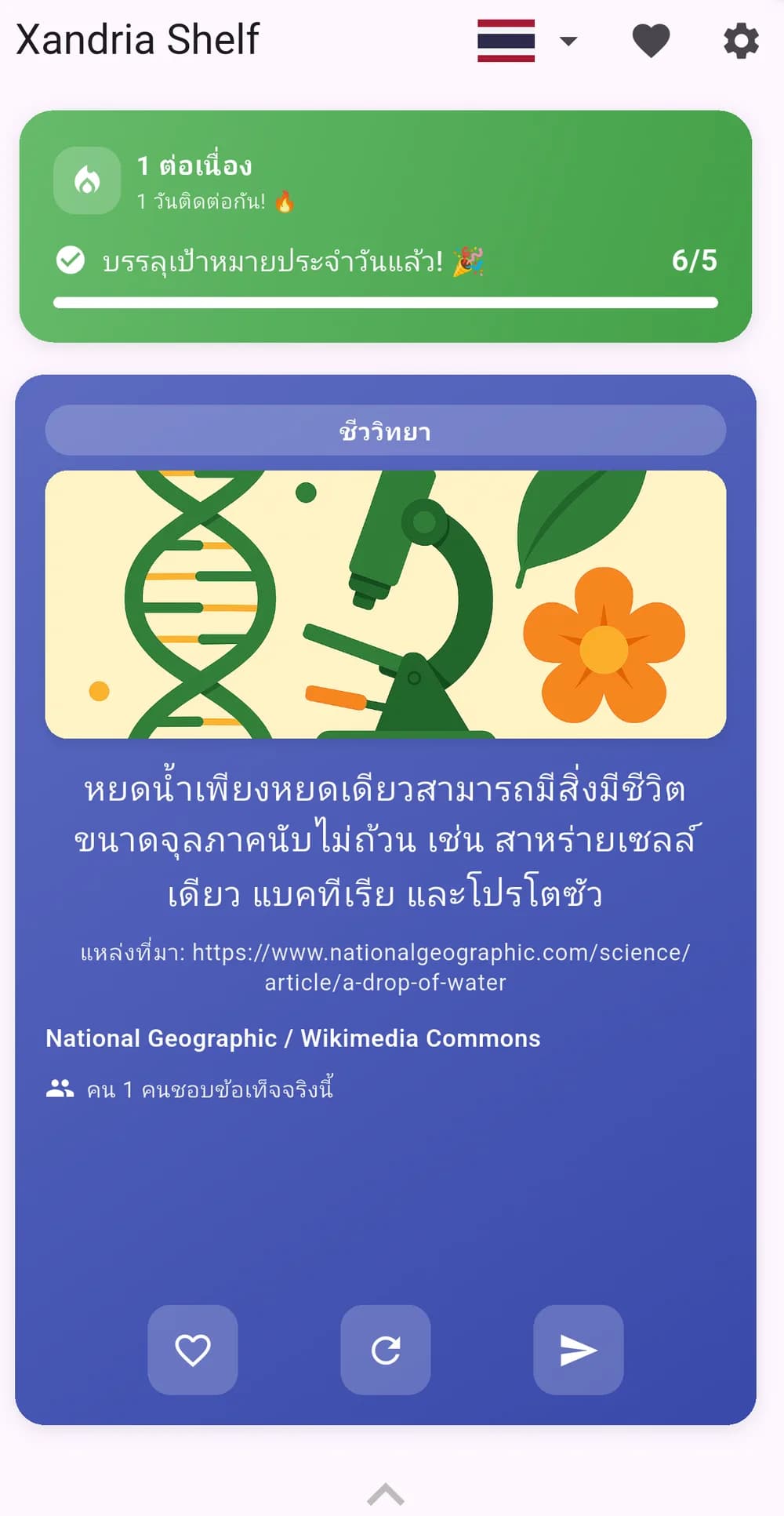 Thai interface