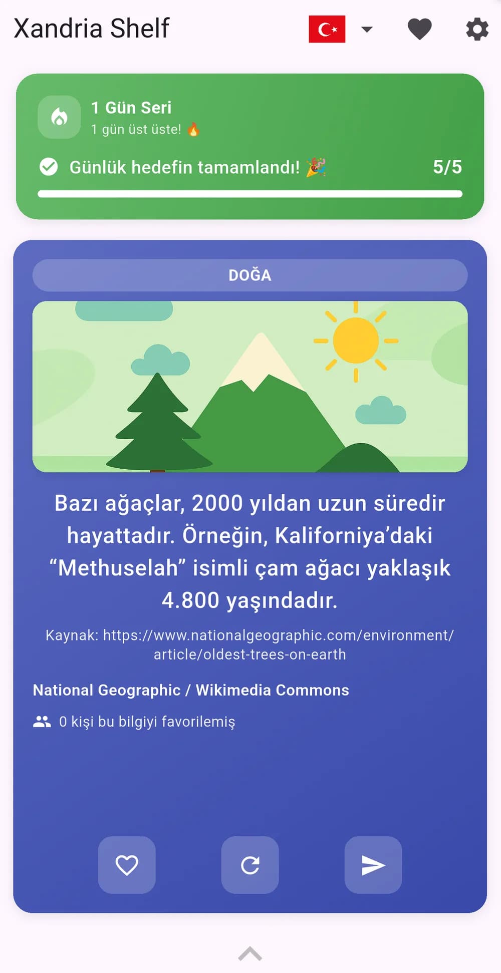 Turkish interface
